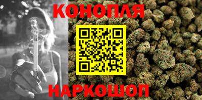 Альфа ПВП Новозыбков