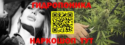 Альфа ПВП Новозыбков