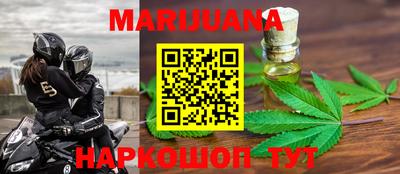 Альфа ПВП Новозыбков