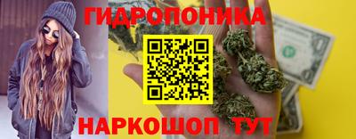 каннабис Новодвинск