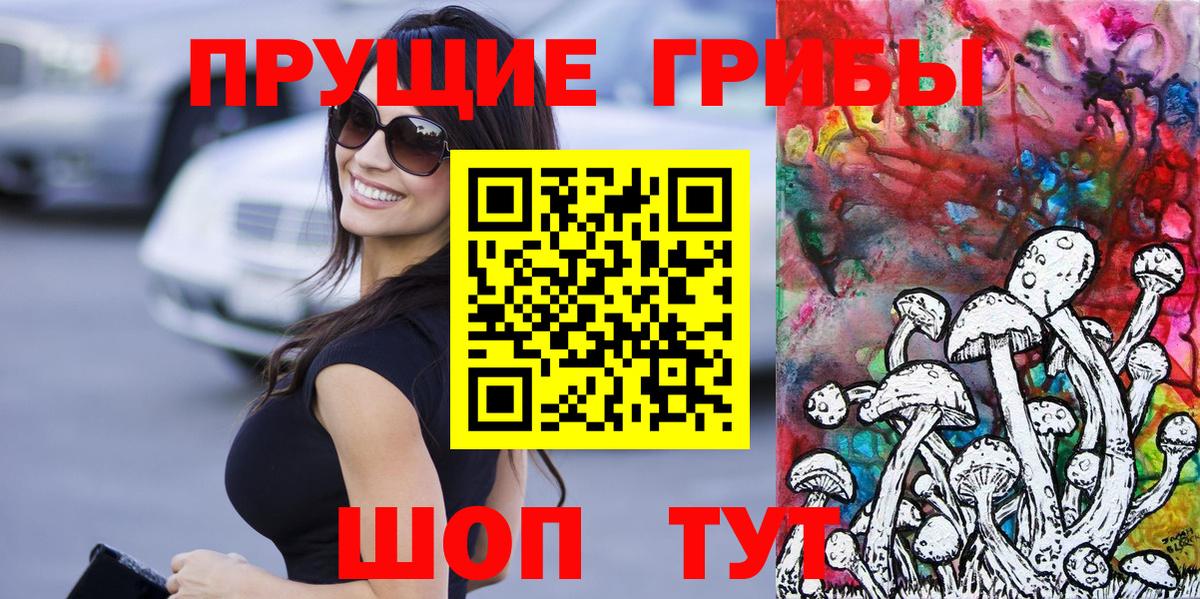 Псилоцибиновые грибы прущие грибы Сунжа